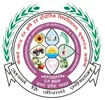DPL Logo